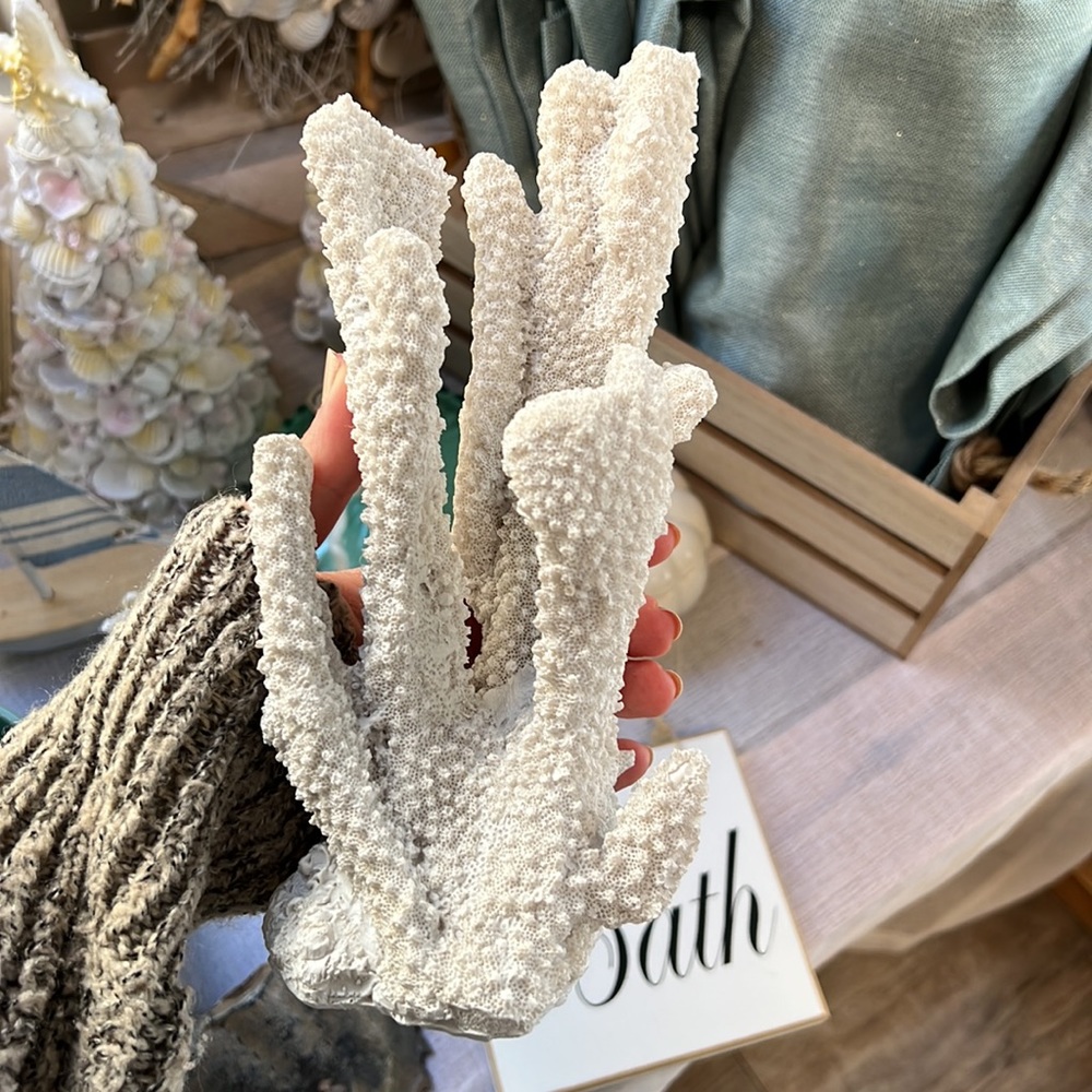 Coral decor